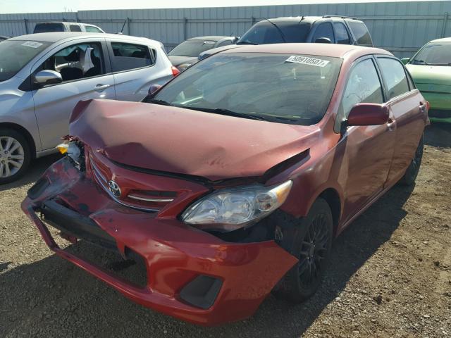 2T1BU4EE3DC027388 - 2013 TOYOTA COROLLA BA RED photo 2