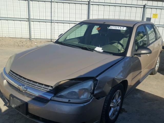 1G1ZT62885F300547 - 2005 CHEVROLET MALIBU MAX GOLD photo 2