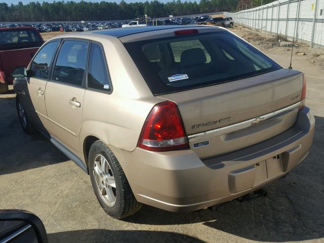 1G1ZT62885F300547 - 2005 CHEVROLET MALIBU MAX GOLD photo 3