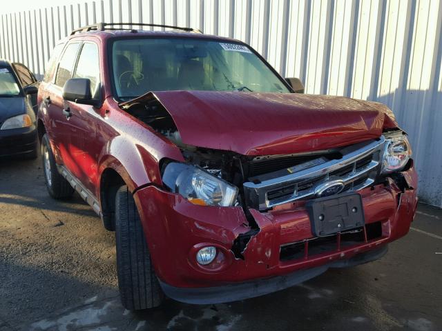 1FMCU0D72BKA59871 - 2011 FORD ESCAPE XLT RED photo 1