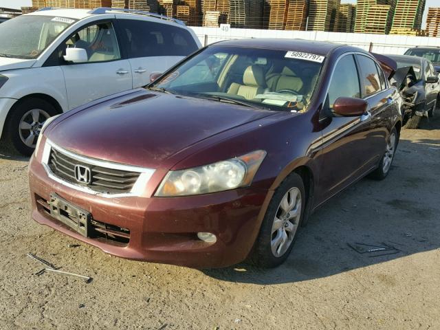 1HGCP36839A010652 - 2009 HONDA ACCORD EXL MAROON photo 2