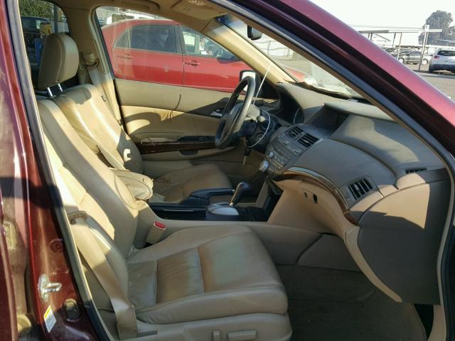 1HGCP36839A010652 - 2009 HONDA ACCORD EXL MAROON photo 5