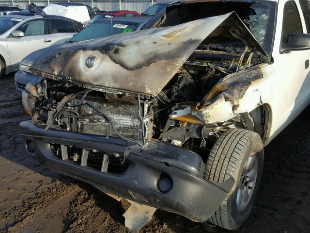 1D7HG38K54S699440 - 2004 DODGE DAKOTA QUA WHITE photo 9