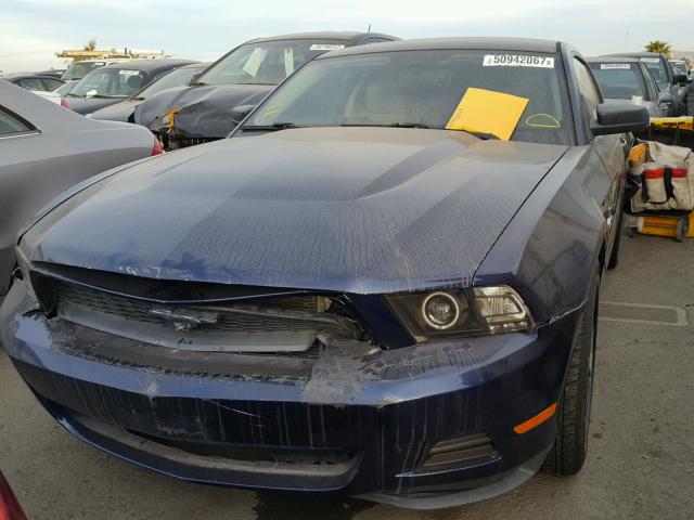 1ZVBP8AN6A5119315 - 2010 FORD MUSTANG BLUE photo 2