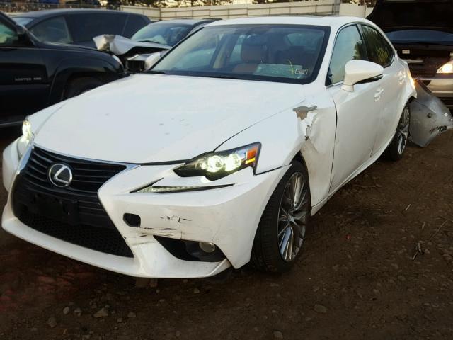 JTHCF1D25E5006141 - 2014 LEXUS IS 250 WHITE photo 2