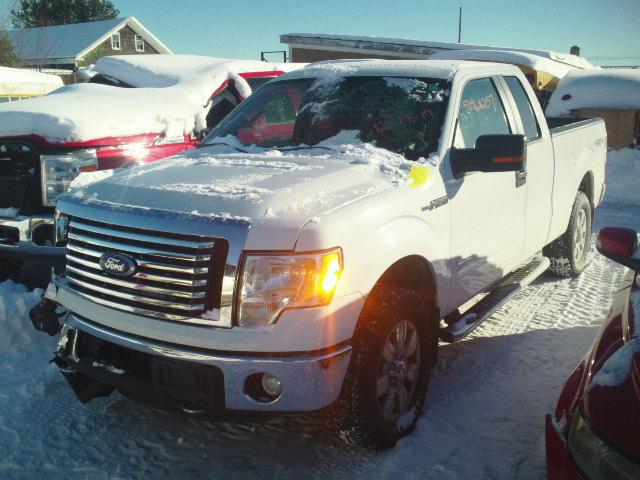 1FTFX1ET5BFC16781 - 2011 FORD F150 SUPER WHITE photo 2