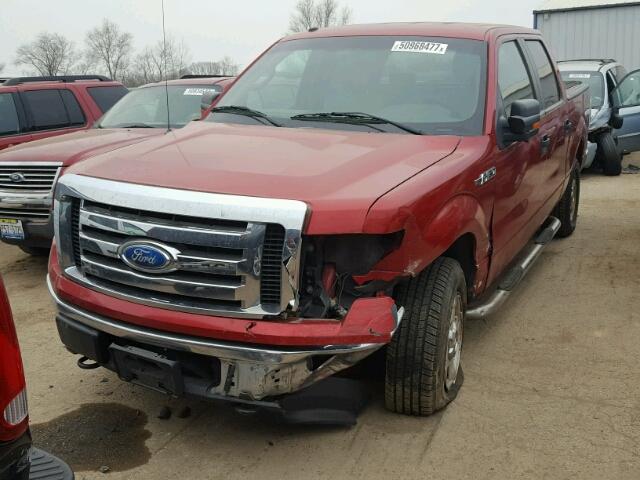 1FTPW14V99FA95192 - 2009 FORD F150 SUPER RED photo 2