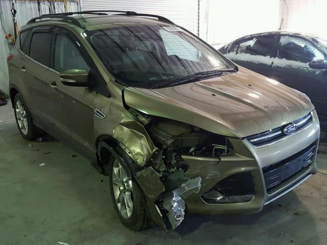 1FMCU9H95DUC66648 - 2013 FORD ESCAPE SEL GOLD photo 1