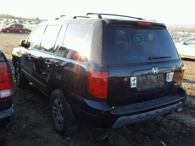 5FNYF18415B027442 - 2005 HONDA PILOT EX BLACK photo 3