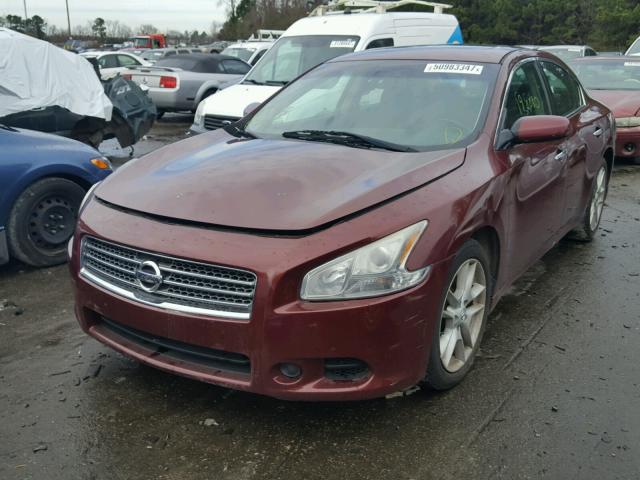 1N4AA5APXAC855854 - 2010 NISSAN MAXIMA S MAROON photo 2