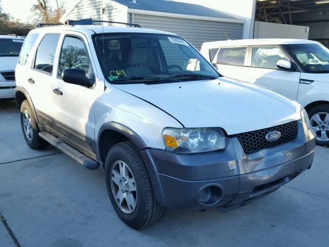 1FMYU93185KA45713 - 2005 FORD ESCAPE XLT WHITE photo 1