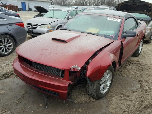 1ZVFT84NX75246456 - 2007 FORD MUSTANG RED photo 2