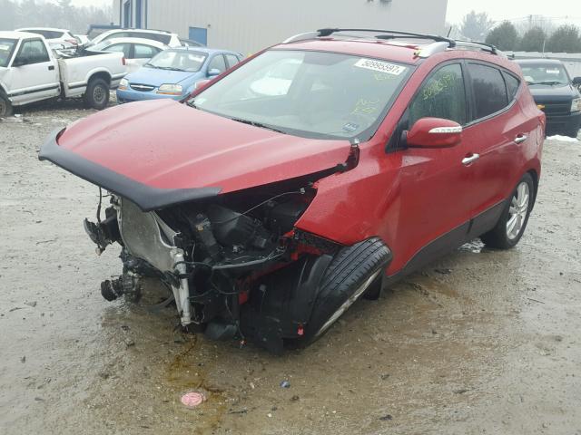 KM8JUCACXBU311896 - 2011 HYUNDAI TUCSON GLS RED photo 2