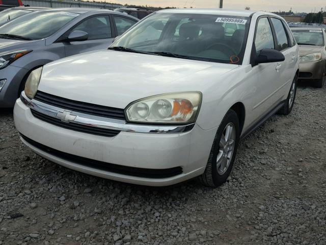 1G1ZT64804F220106 - 2004 CHEVROLET MALIBU MAX თეთრი ფოტო 2
