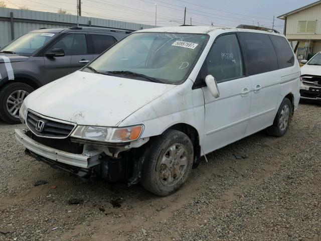 5FNRL18693B107891 - 2003 HONDA ODYSSEY EX WHITE photo 2