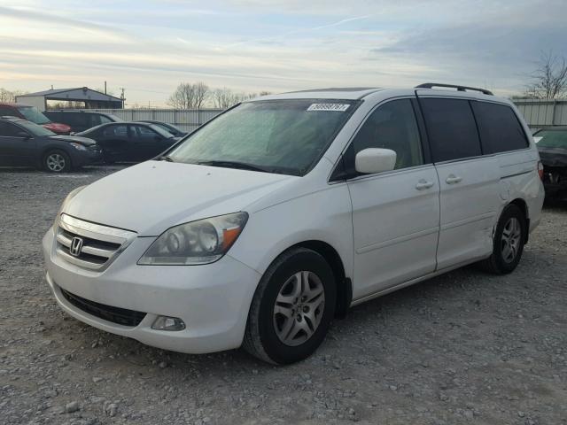 5FNRL38626B415971 - 2006 HONDA ODYSSEY EX WHITE photo 2