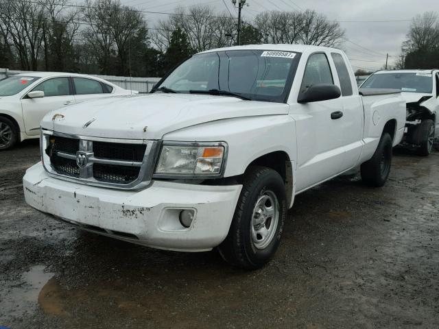 1D7RE2BK0BS609332 - 2011 DODGE DAKOTA ST WHITE photo 2