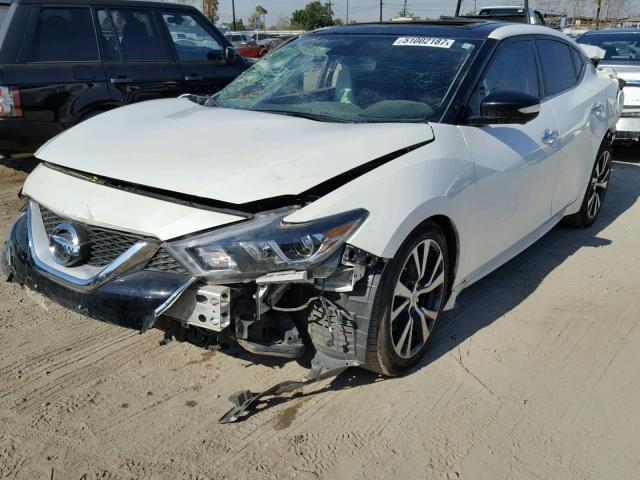 1N4AA6AP2GC427646 - 2016 NISSAN MAXIMA 3.5 WHITE photo 2