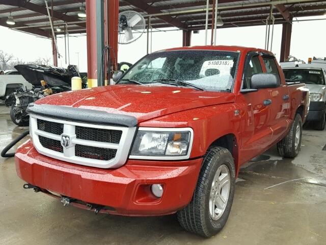 1D7CW3GP9AS200550 - 2010 DODGE DAKOTA SXT RED photo 2