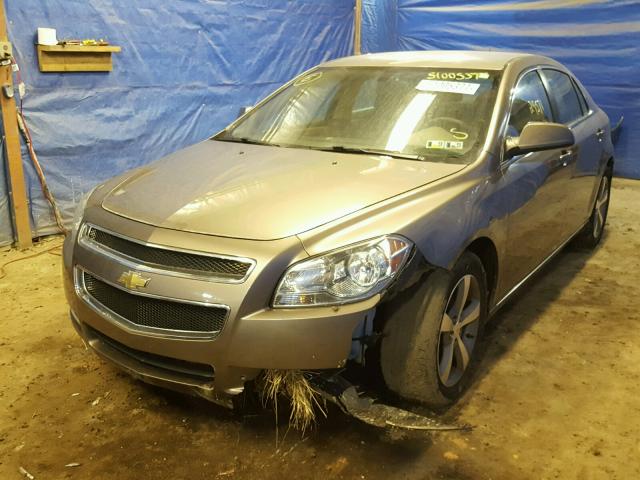1G1ZC5E19BF185896 - 2011 CHEVROLET MALIBU 1LT თაფლისფერი ფოტო 2