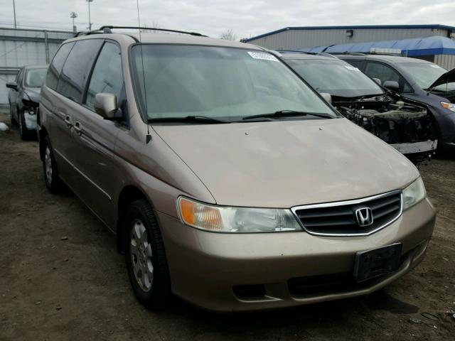 5FNRL186X3B042887 - 2003 HONDA ODYSSEY EX GOLD photo 1