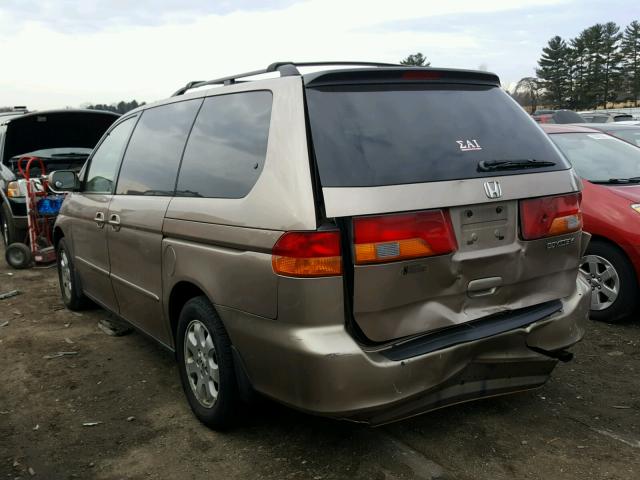 5FNRL186X3B042887 - 2003 HONDA ODYSSEY EX GOLD photo 3