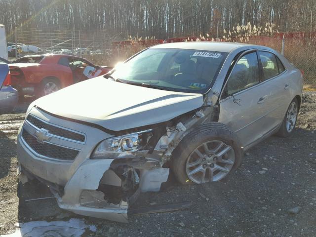 1G11C5SA3DF351351 - 2013 CHEVROLET MALIBU 1LT 金色 照片 2