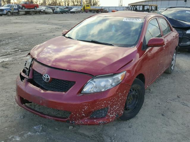 1NXBU4EEXAZ362075 - 2010 TOYOTA COROLLA BA RED photo 2