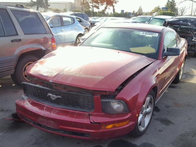 1ZVFT80N755139075 - 2005 FORD MUSTANG BURGUNDY photo 2