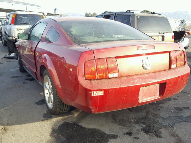 1ZVFT80N755139075 - 2005 FORD MUSTANG BURGUNDY photo 3