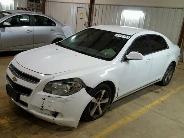 1G1ZC5EU4BF145557 - 2011 CHEVROLET MALIBU 1LT WHITE photo 2