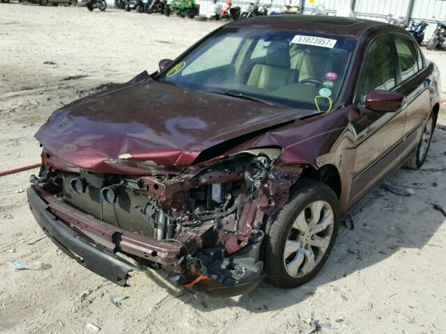 1HGCP36808A084593 - 2008 HONDA ACCORD EXL BURGUNDY photo 2