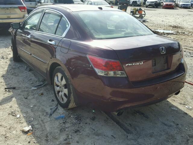 1HGCP36808A084593 - 2008 HONDA ACCORD EXL BURGUNDY photo 3