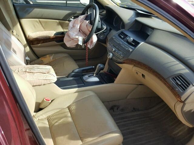 1HGCP36808A084593 - 2008 HONDA ACCORD EXL BURGUNDY photo 5