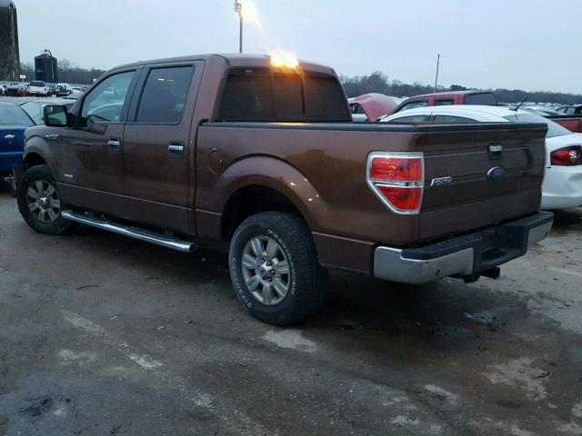 1FTFW1CT1CFC16431 - 2012 FORD F150 SUPER BROWN photo 3