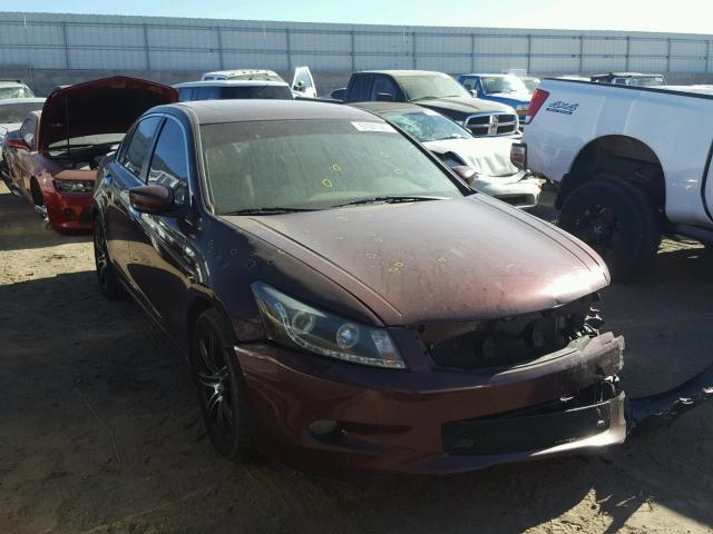 1HGCP36858A069703 - 2008 HONDA ACCORD EXL MAROON photo 1