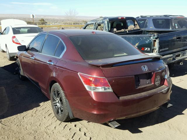 1HGCP36858A069703 - 2008 HONDA ACCORD EXL MAROON photo 3