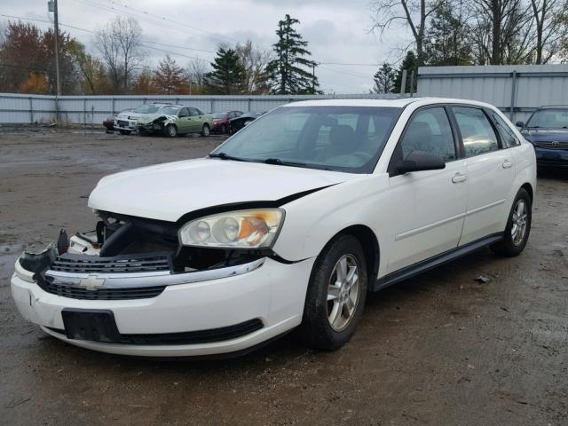 1G1ZT64885F162814 - 2005 CHEVROLET MALIBU MAX თეთრი ფოტო 2