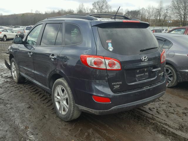 5XYZK4AG2BG053333 - 2011 HYUNDAI SANTA FE L BLUE photo 3