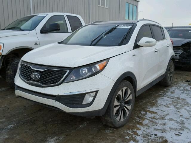 KNDPCCA63C7318829 - 2012 KIA SPORTAGE S WHITE photo 2