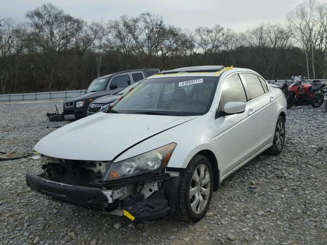 1HGCP36898A057635 - 2008 HONDA ACCORD EXL WHITE photo 2