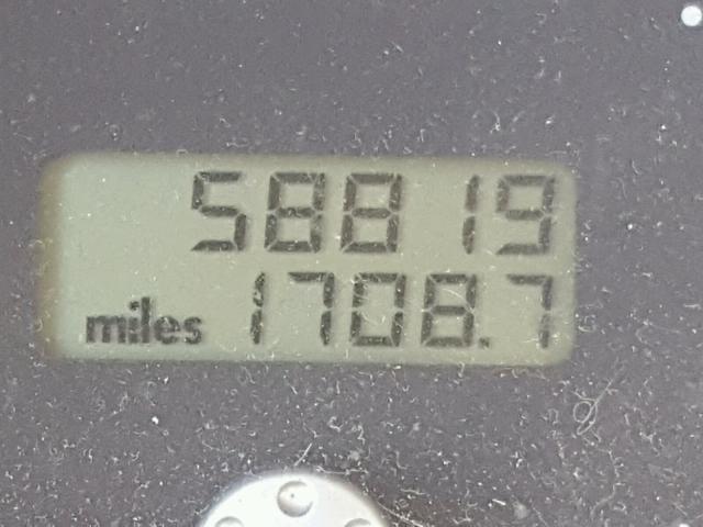 3VWCB21C61M446175 - 2001 VOLKSWAGEN NEW BEETLE 黄色 照片 8