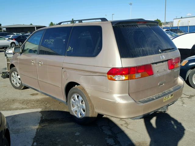 2HKRL18672H527990 - 2002 HONDA ODYSSEY EX TAN photo 3