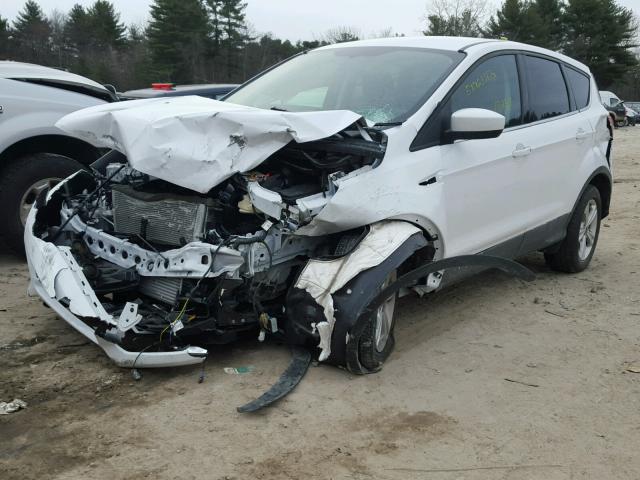 1FMCU0GX0FUB17269 - 2015 FORD ESCAPE SE WHITE photo 2