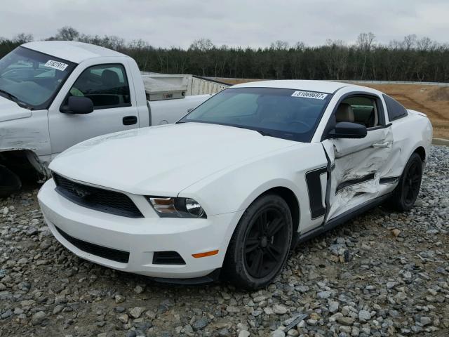 1ZVBP8ANXA5169957 - 2010 FORD MUSTANG WHITE photo 2