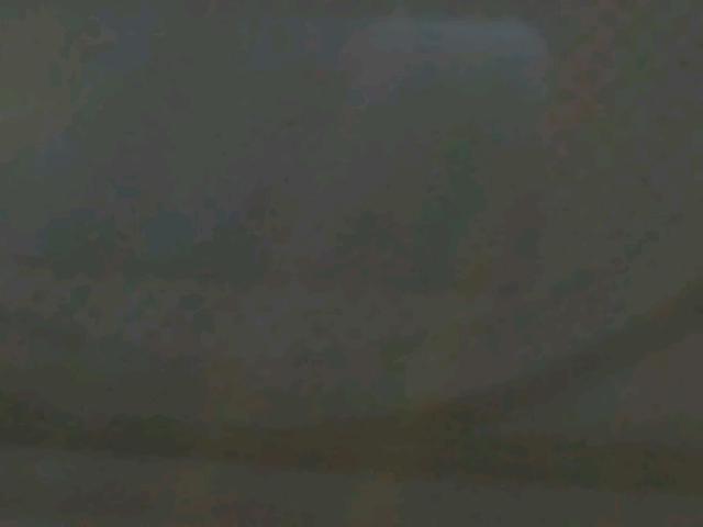 1G1ZU648X5F145994 - 2005 CHEVROLET MALIBU MAX 黑色 照片 8