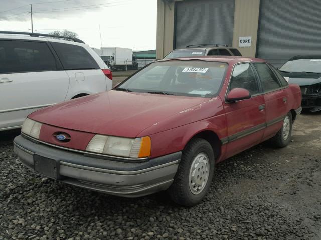 1FACP5248MG234766 - 1991 FORD TAURUS GL MAROON photo 2