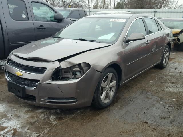 1G1ZC5E16BF198220 - 2011 CHEVROLET MALIBU 1LT TAN photo 2