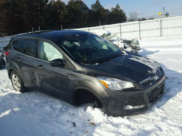 1FMCU0GXXGUB76685 - 2016 FORD ESCAPE SE GRAY photo 1