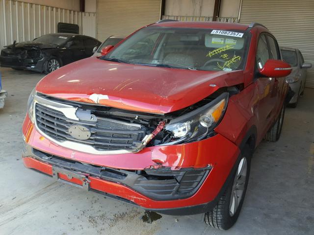 KNDPB3A20D7430652 - 2013 KIA SPORTAGE B RED photo 2